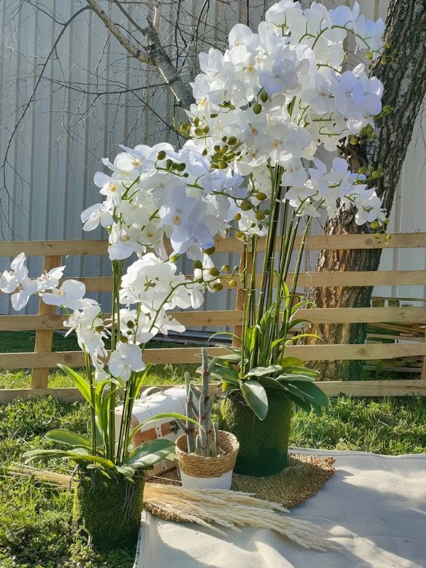 Grande orchidée blanche artificielle - 150 cm