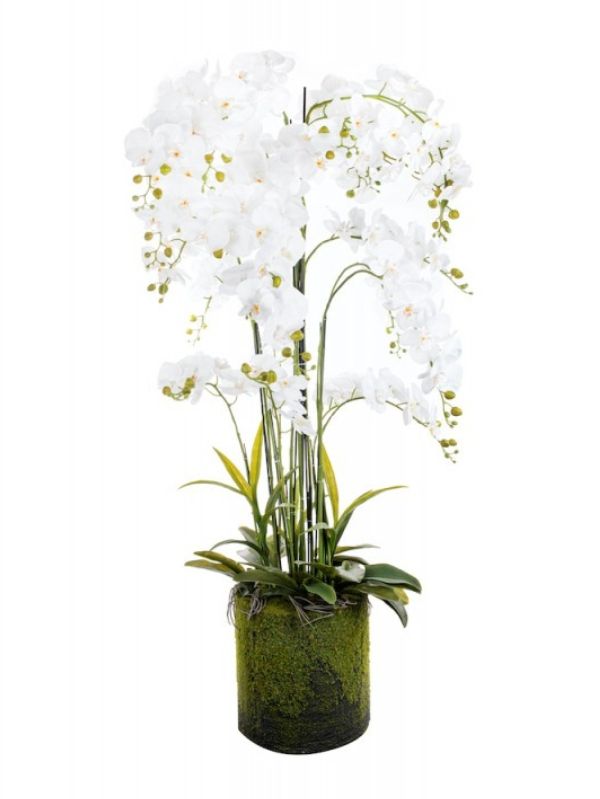 Grande orchidée blanche artificielle - 150 cm