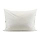 Garniture Coussin Plume 65 x 45 cm - Lot de 2