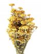 lona-seche-jaune-fleurs-sechees-decoration-naturelle-champetre