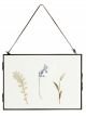 Cadre Vitrine Herbarium Horizontal Noir - 30 x 20 cm