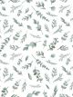Papier Peint Lilipinso Intissé Feuillage Eucalyptus - 10 m